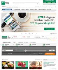 TEB Web Site image
