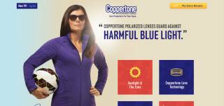 Coppertone Lens Training Website image