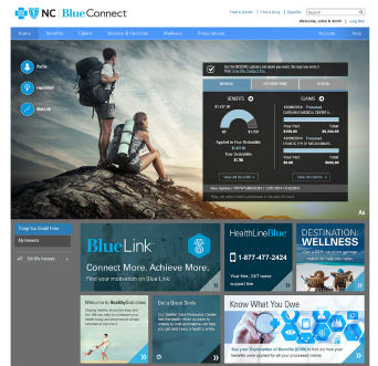 Blue Connect Member Portal image