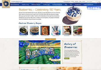 US Highbush Blueberry Council image