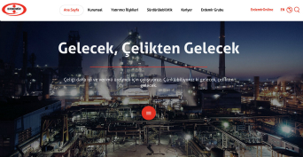 Erdemir Web Site image