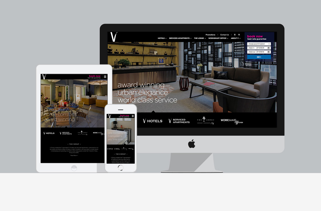 The V Group Website image