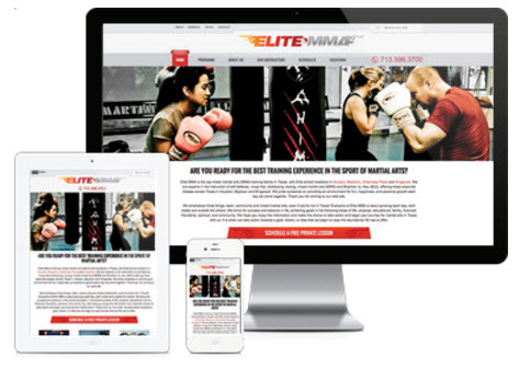 Elite Martial Arts & Fitness Website image