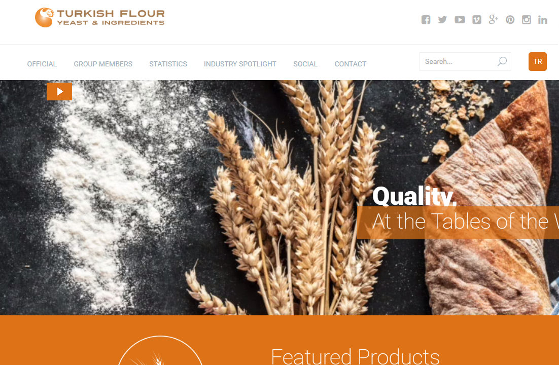 Turkish Flour Yeast and Ingredients Promotion Group  image