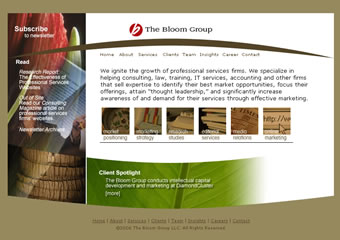 The Bloom Group -- Professional Services Marketing image