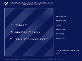 2007 Website image