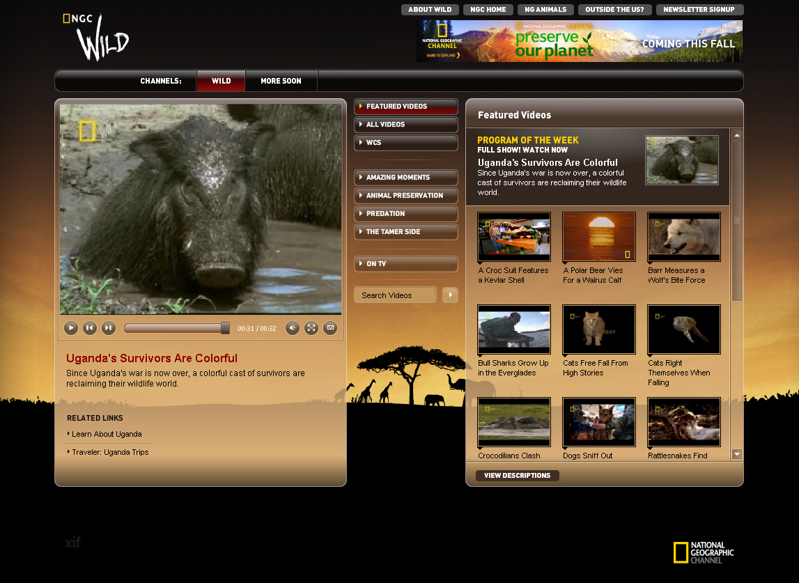 National Geographic Channel  NGC Wild image