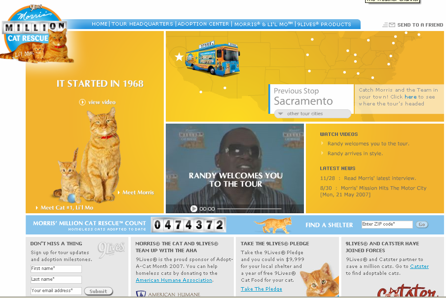 9 Lives Million Cat Rescue image