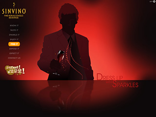 Sinvino website image