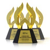 2016 WebAward Trophy