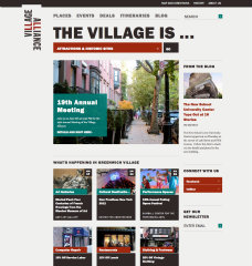 The Village Alliance image