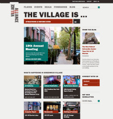 The Village Alliance image