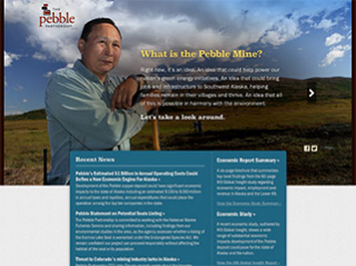 The Pebble Partnership image