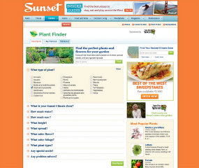 Sunset Website Redesign image