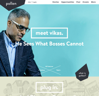 PollenMidwest.org image