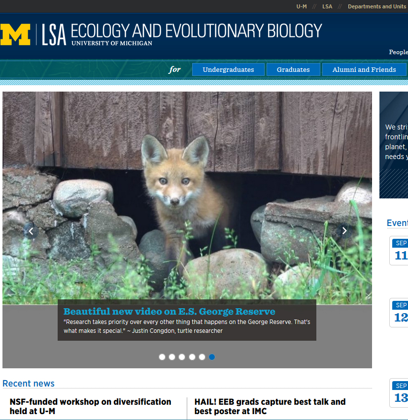 University of Michigan Ecology & Evolutionary Biology Website image