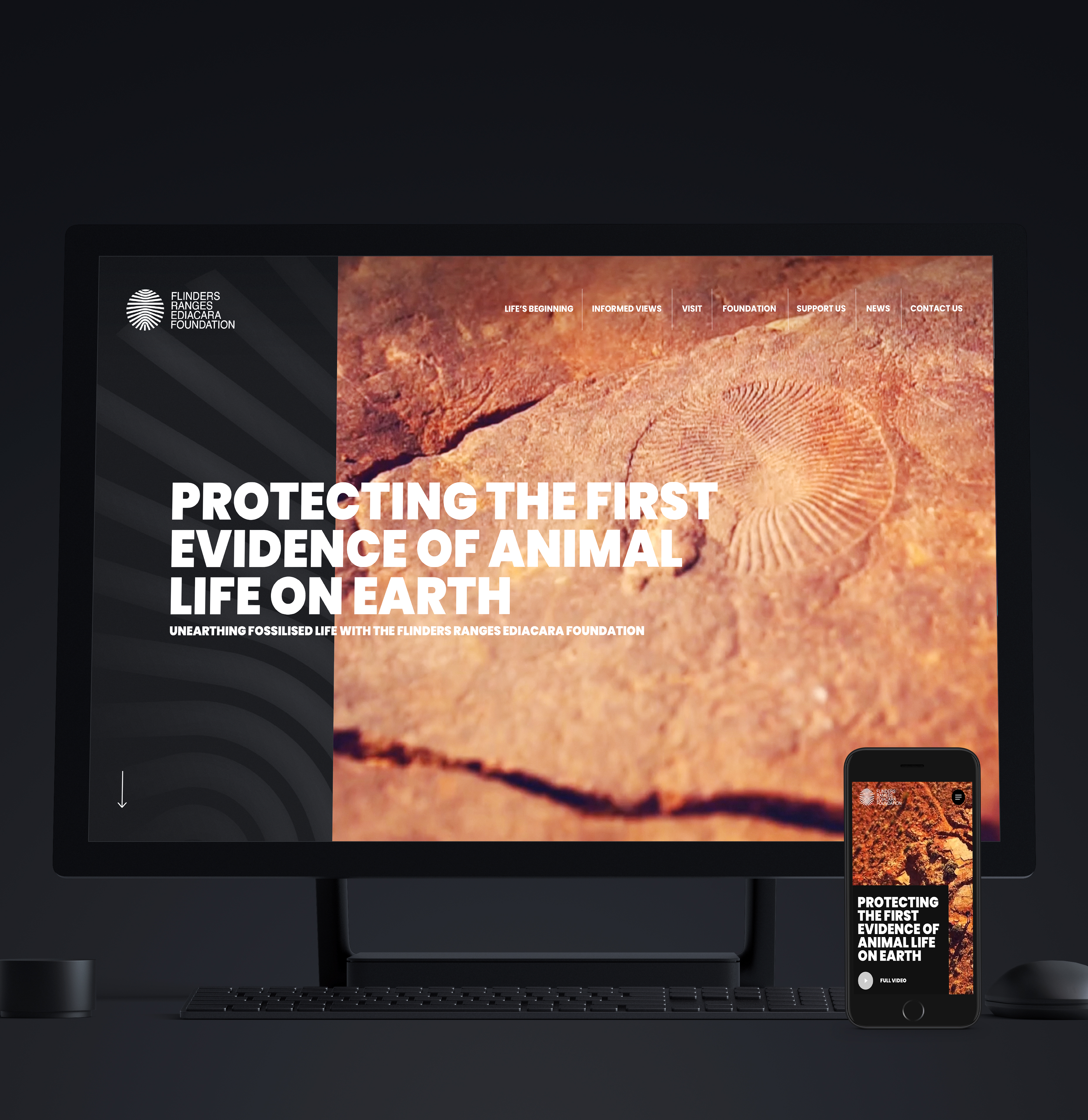 Flinders Ranges Ediacara Foundation image