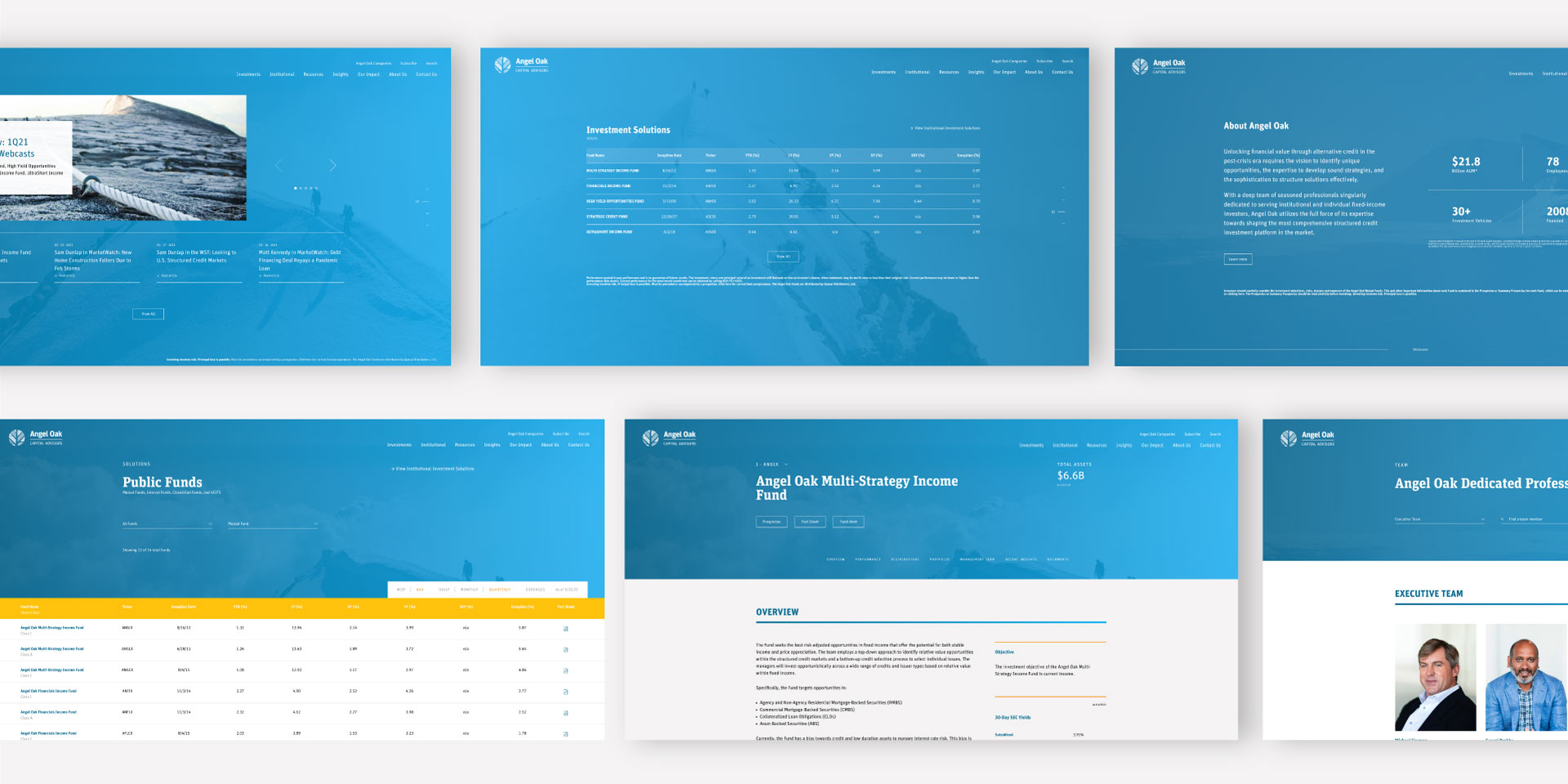 Angel Oak Capital Advisors image