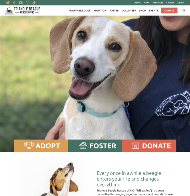Triangle Beagle Rescue image