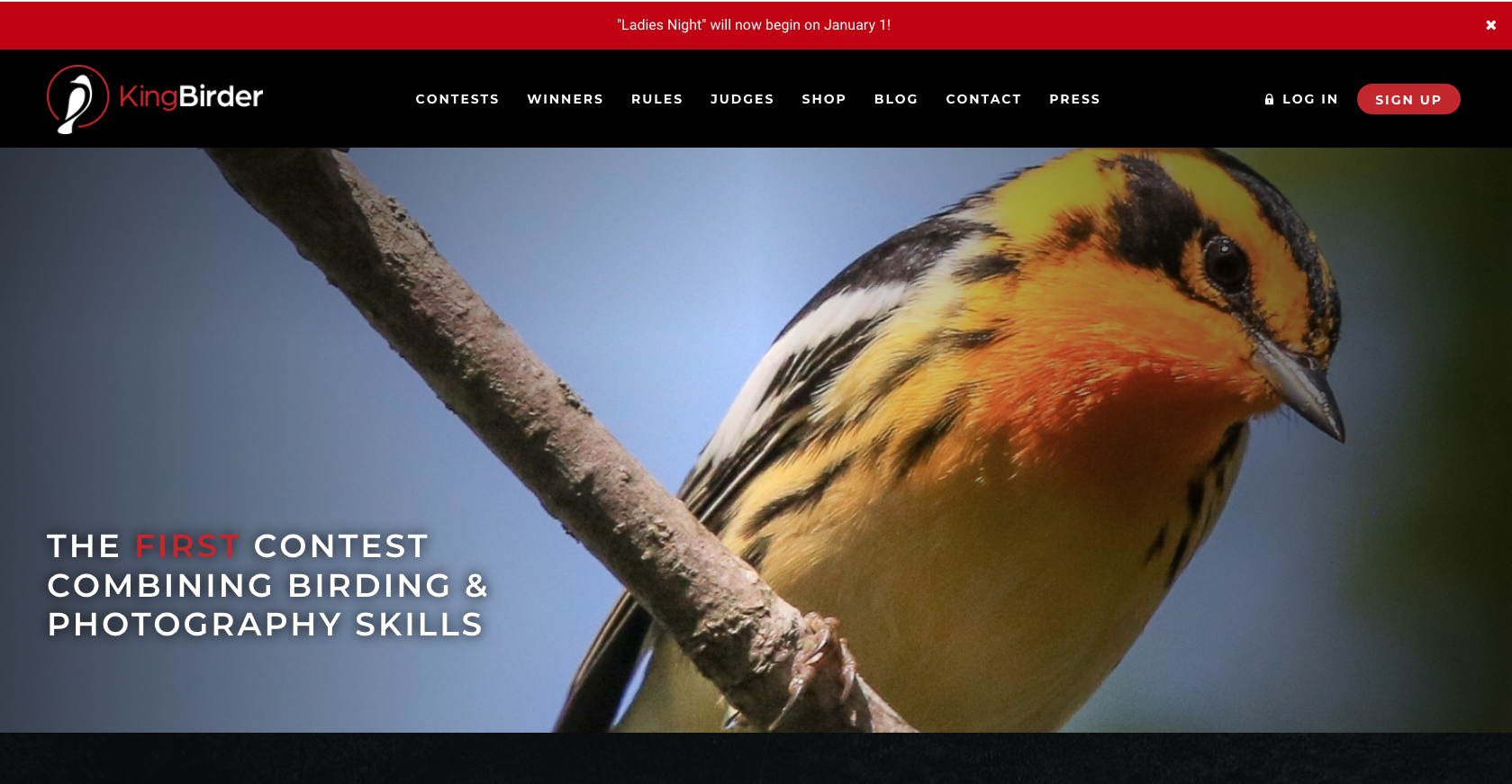 Kingbirder Online Photography Contest