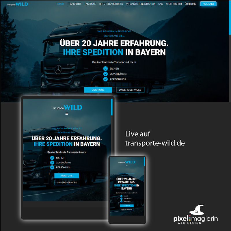 Transporte Wild  Transportation Website image