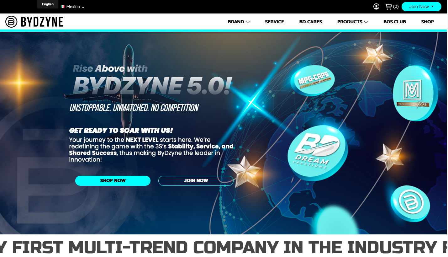 Living Life ByDzyne: Building an International Business