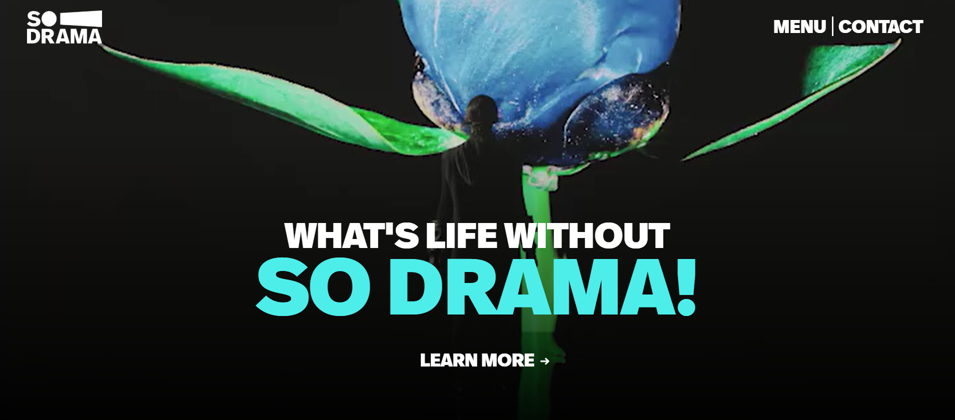 What's Life Without Drama?