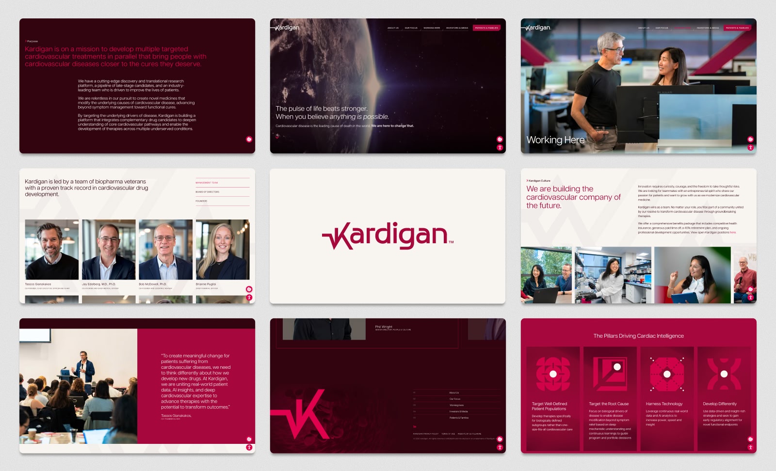 Kardigan Corporate Website
